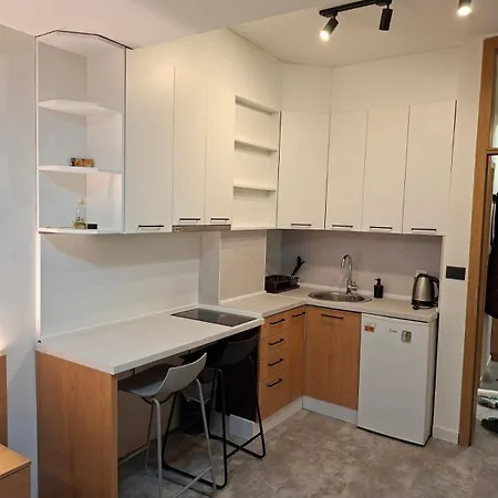 Daire Comfortable Studio For 2 - Ljubovic Hill View *